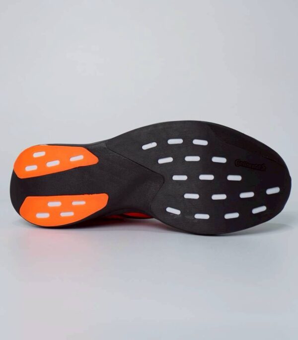 img_1355-2 img_1355-2